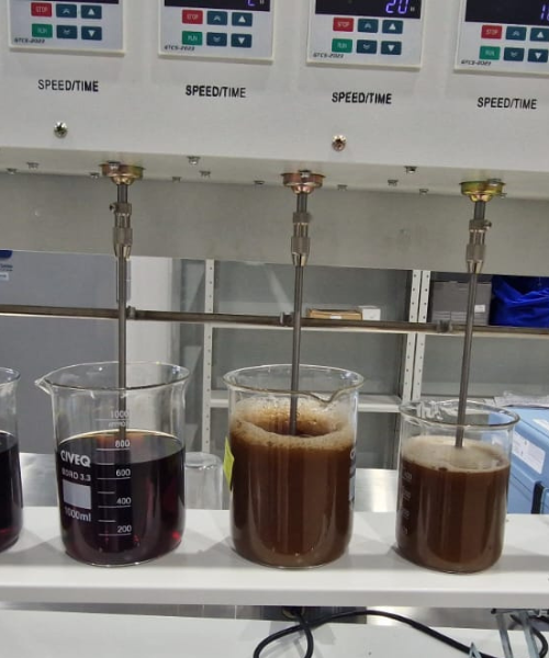 Laboratorio de Pruebas de tratabilidad 